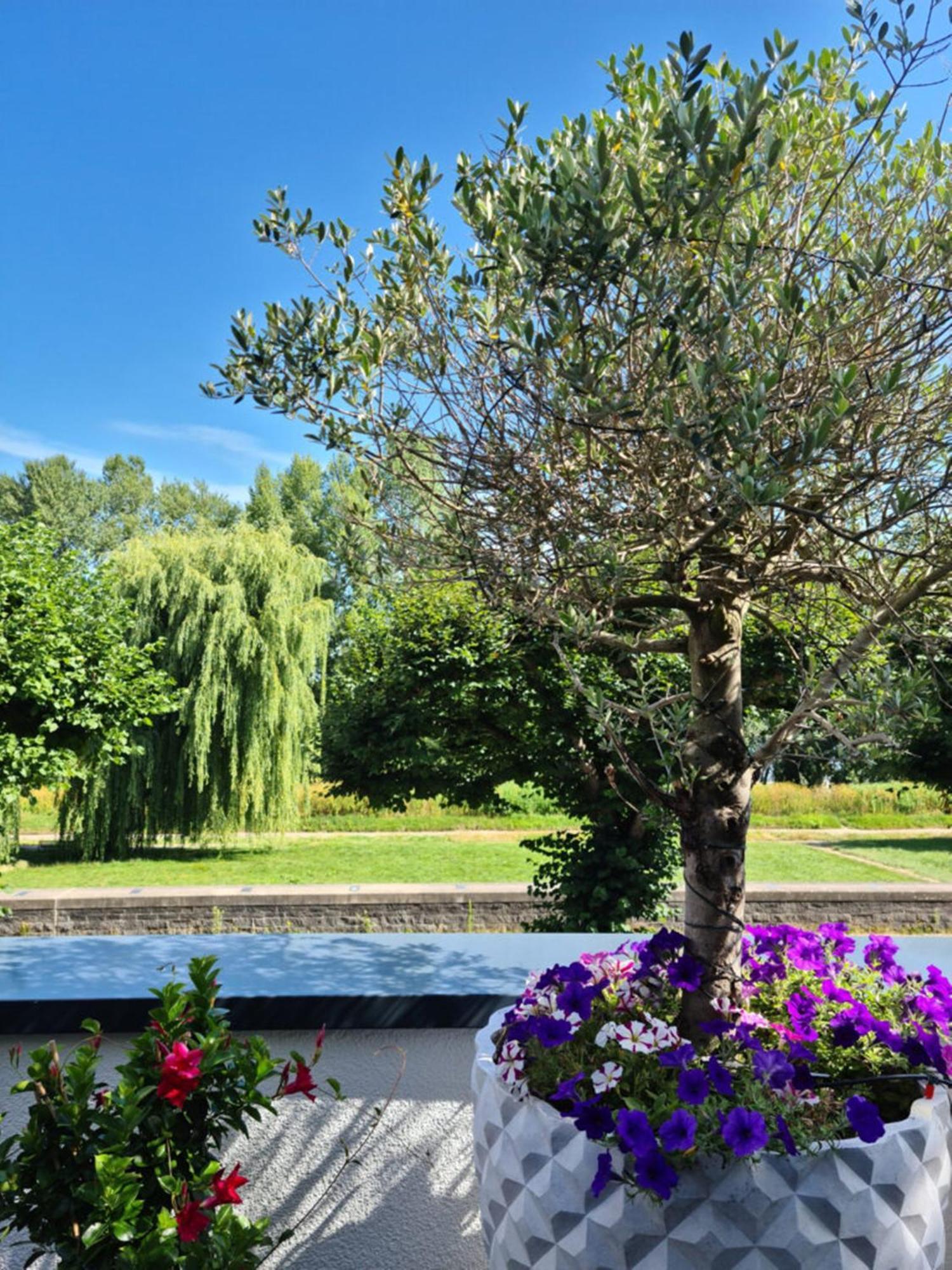 Villahotel Rheinblick Colonia Exterior foto